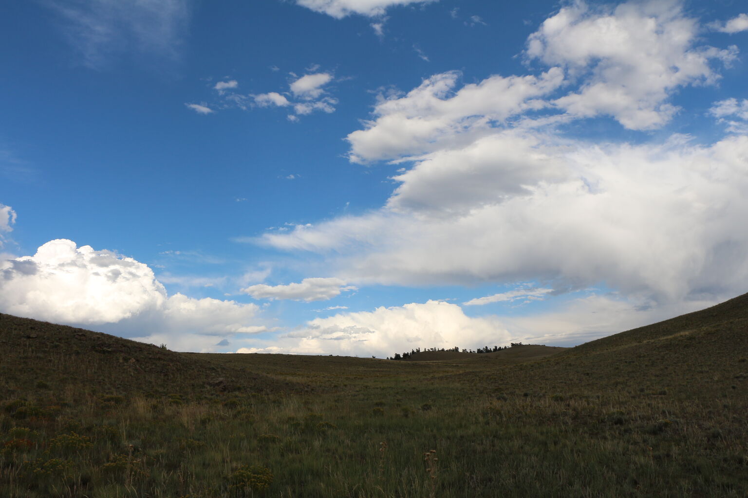 Photo 41 of 76