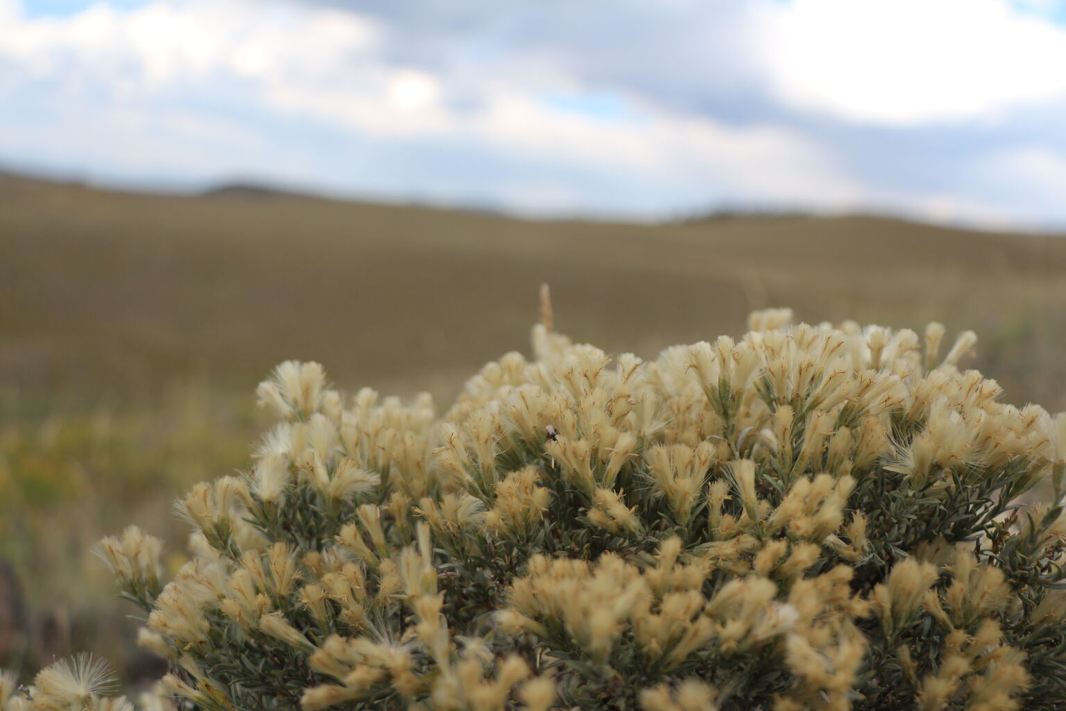 Photo 42 of 76