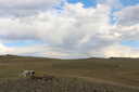 Photo 46 of 76