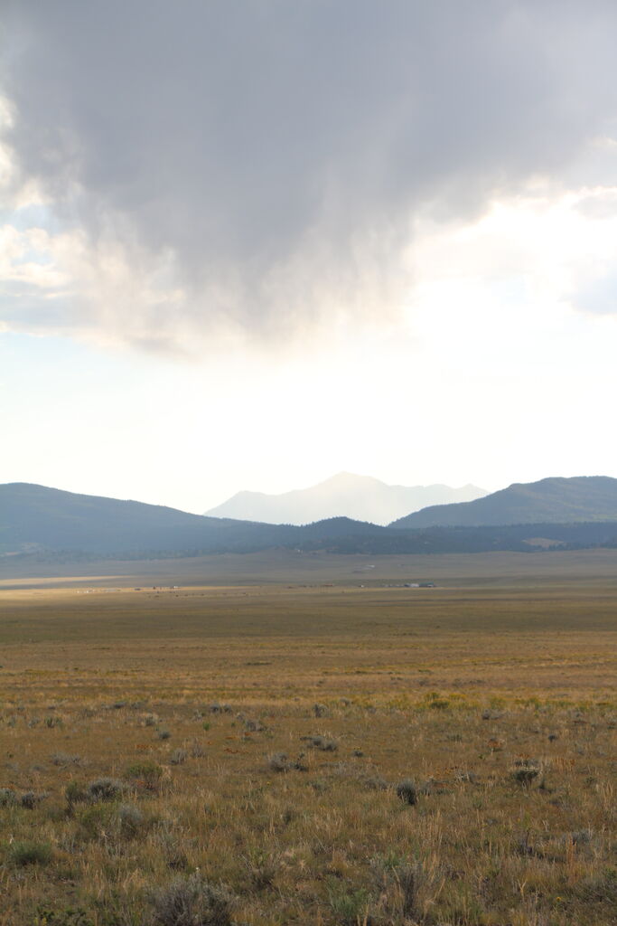 Photo 57 of 76