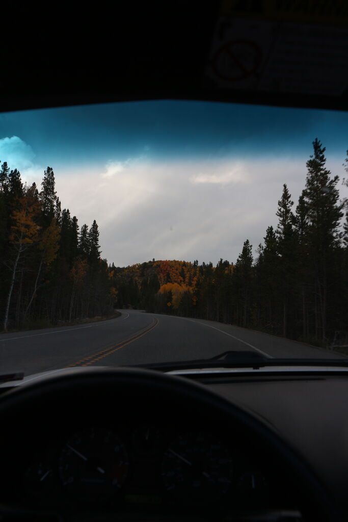 Photo 31 of 124