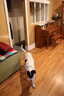 Photo 2 of 53