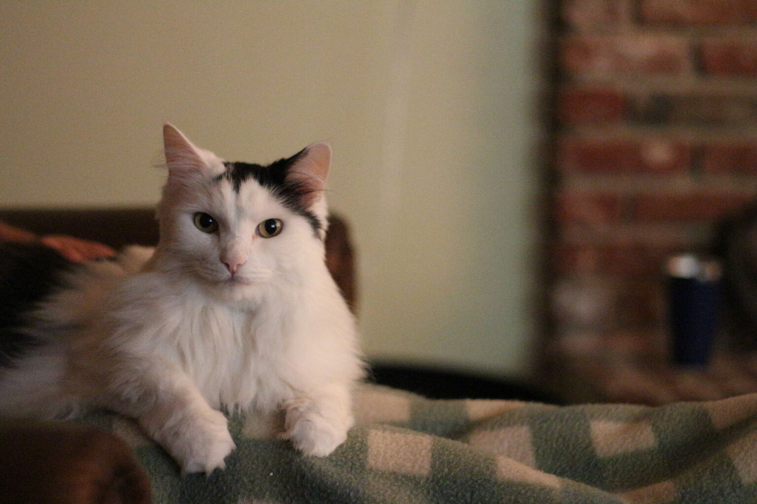 Photo 49 of 53