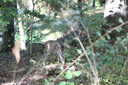 Photo 18 of 162