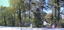 Previous Photograph