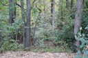 Photo 37 of 162