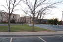 Previous Photograph
