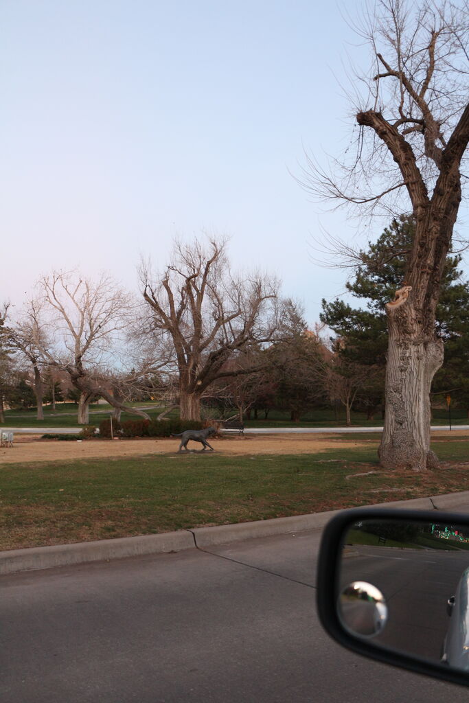 Photo 39 of 58
