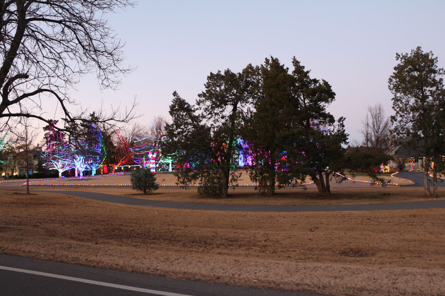 Photo 41 of 58