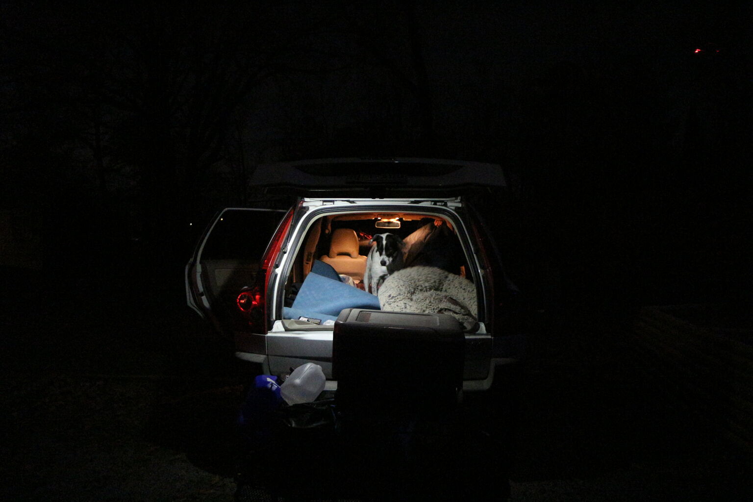 Photo 3 of 25