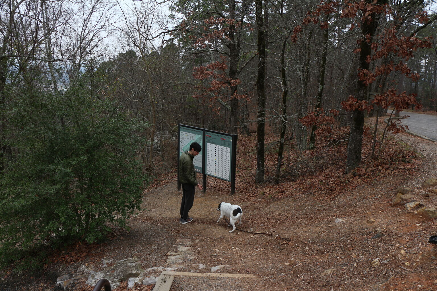 Photo 21 of 25