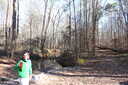 Photo 11 of 21