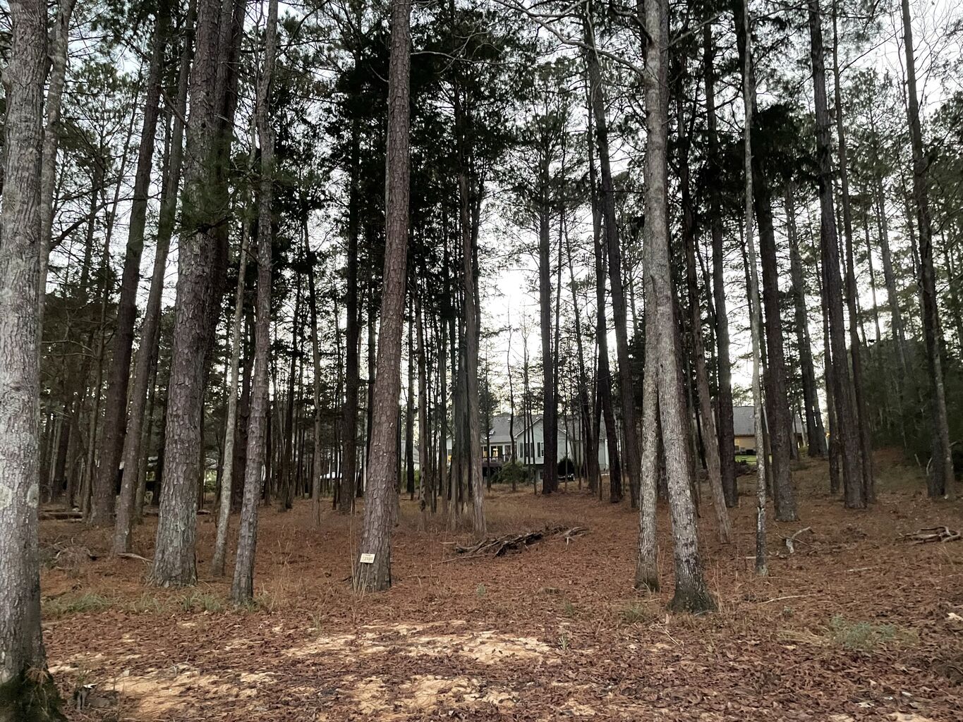 Photo 21 of 21