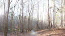 Previous Photograph