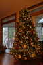 Photo 43 of 46