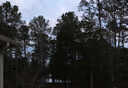 Photo 45 of 46