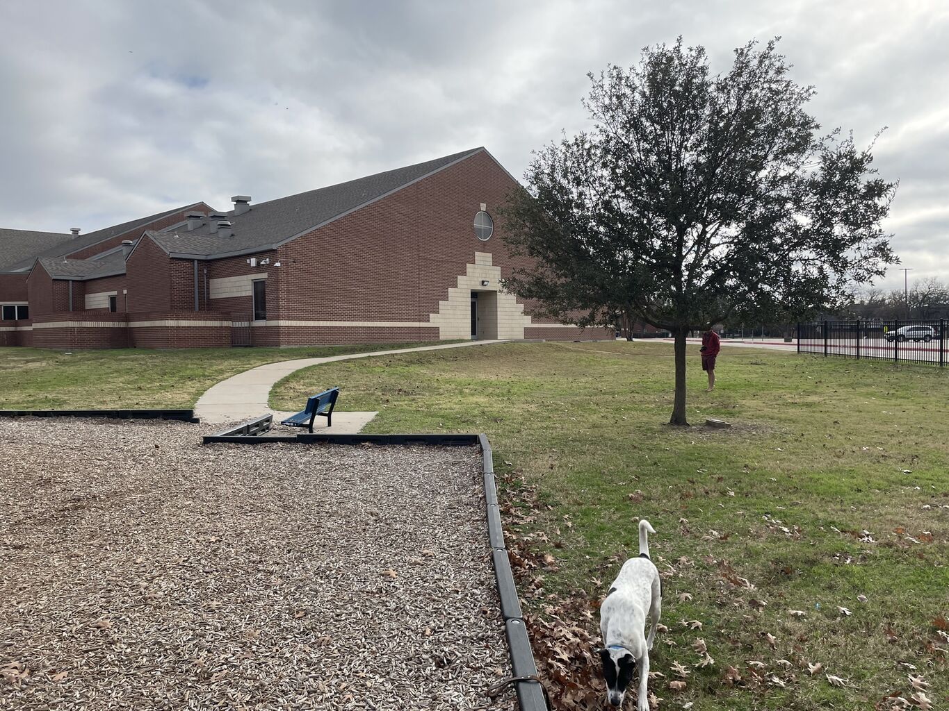 Photo 18 of 49