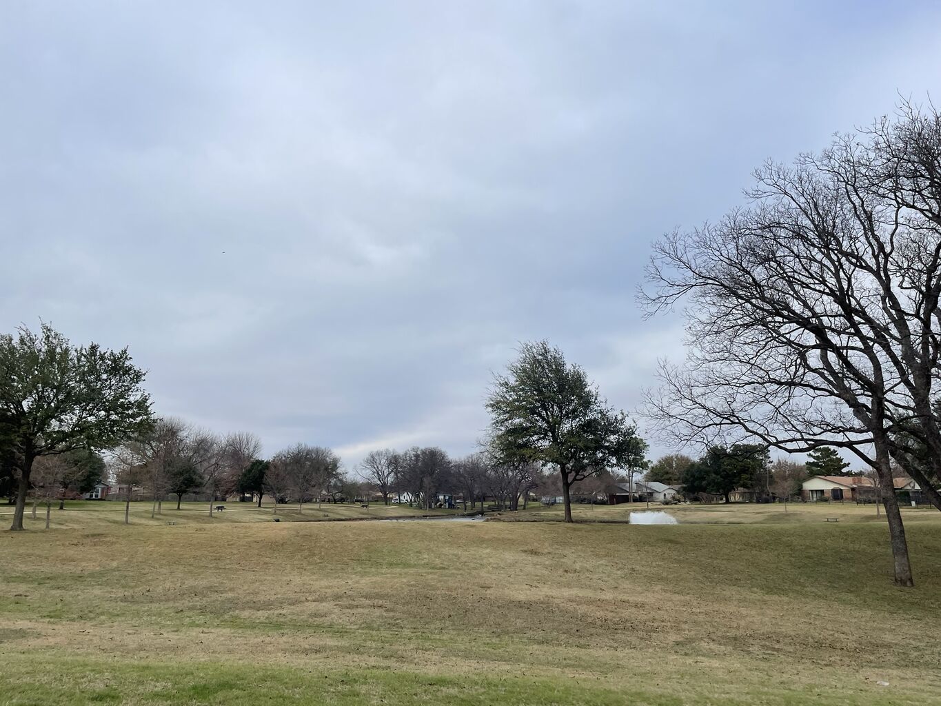 Photo 23 of 49