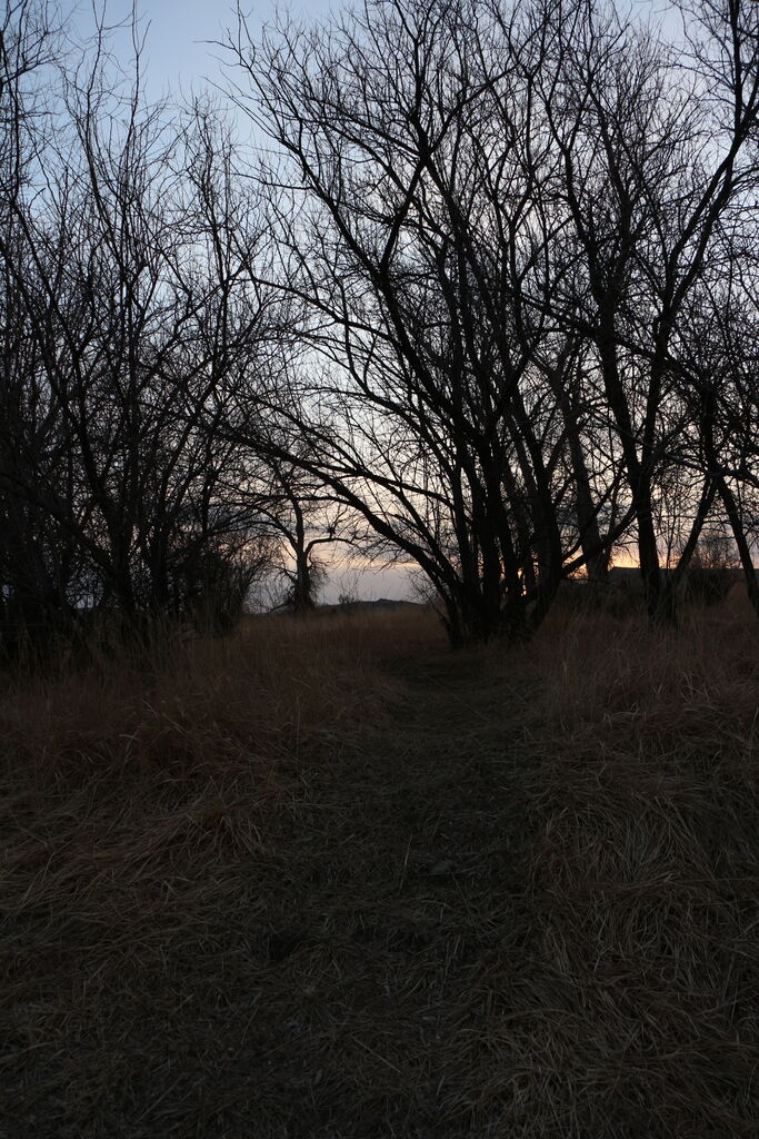Photo 7 of 16