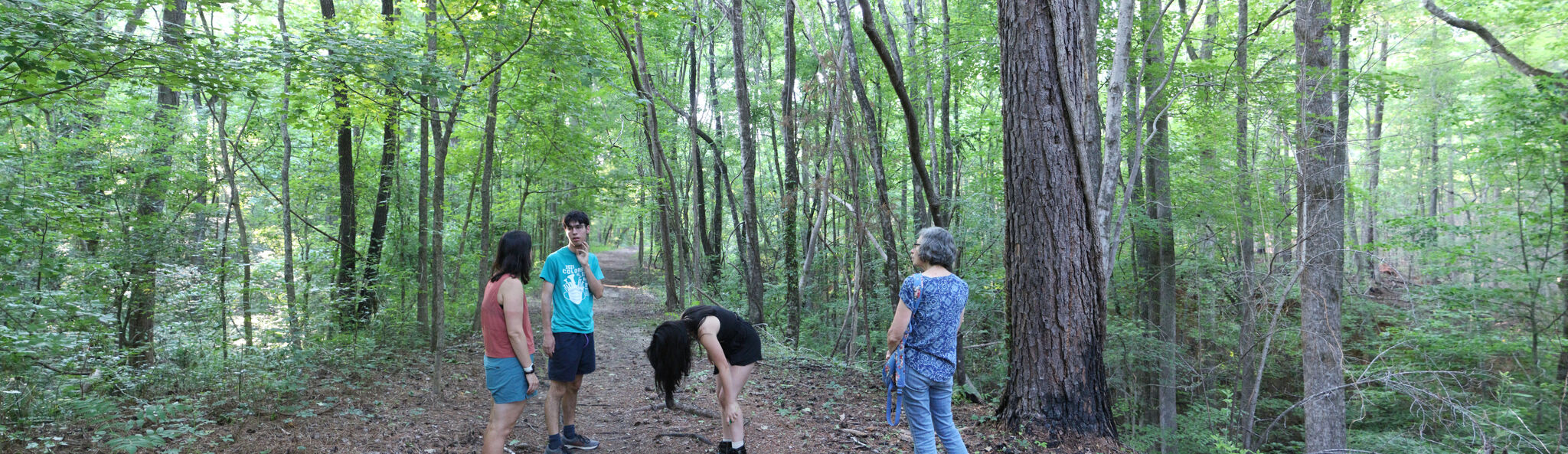 Photo 4 of 72