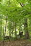 Previous Photograph