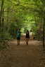 Next Photograph