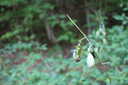 Photo 34 of 72