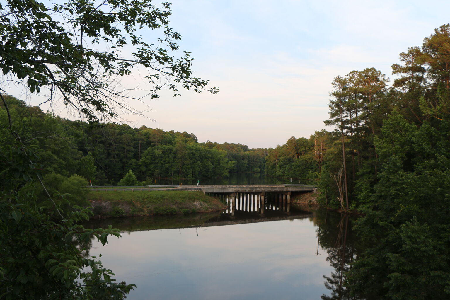 Photo 50 of 72