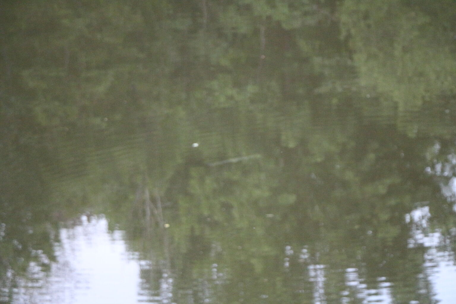 Photo 52 of 72