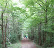 Previous Photograph