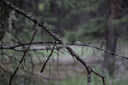 Photo 13 of 39