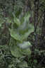 Photo 18 of 39