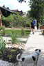 Photo 18 of 19