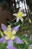 Photo 12 of 21