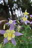 Photo 13 of 21