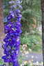 Photo 15 of 21