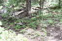 Photo 16 of 44