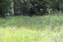Previous Photograph