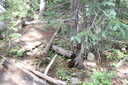 Previous Photograph