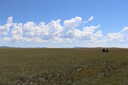 Previous Photograph