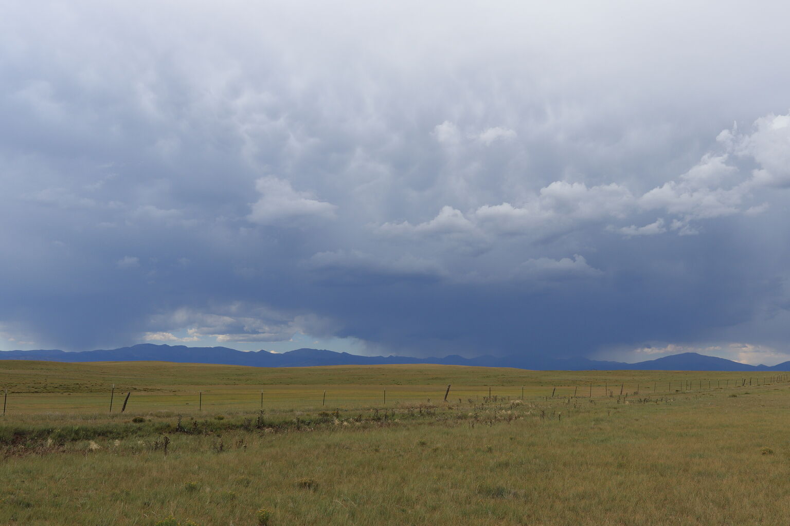 Photo 41 of 55