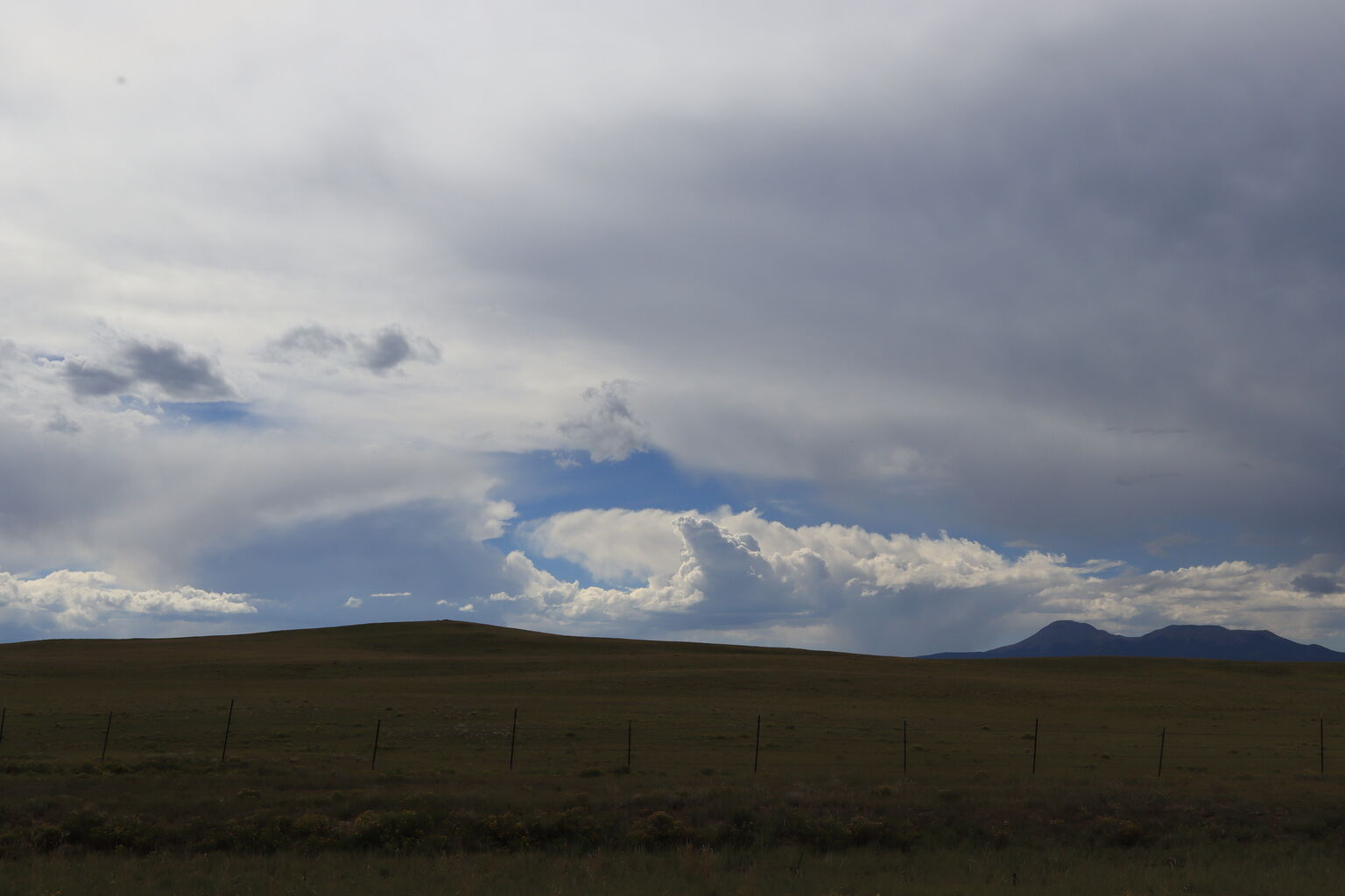Photo 42 of 55