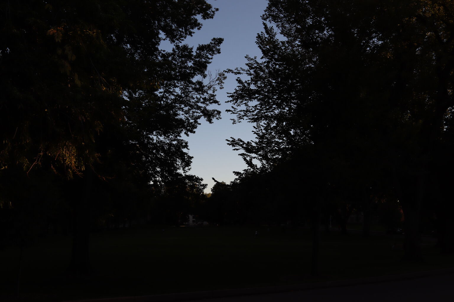 Photo 133 of 140