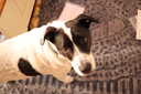 Photo 10 of 10