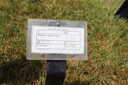 Photo 48 of 79