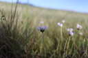 Photo 6 of 52