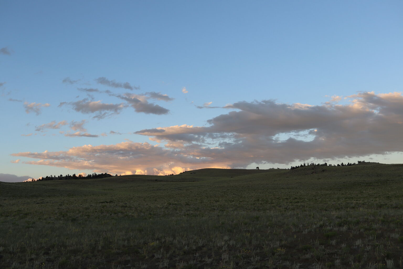 Photo 4 of 8