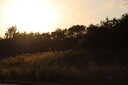Photo 11 of 11