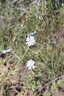 Photo 3 of 20