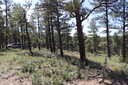 Photo 11 of 20